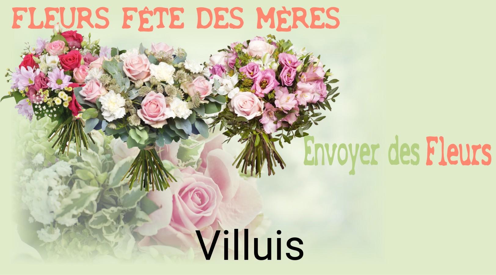 Bouquet de Fête des Mères livré à Villuis